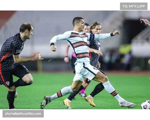 2012欧洲杯葡萄牙队精彩表现与遗憾回顾全面分析