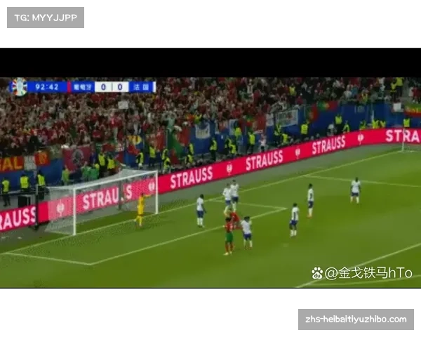 2012欧洲杯葡萄牙队精彩表现与遗憾回顾全面分析